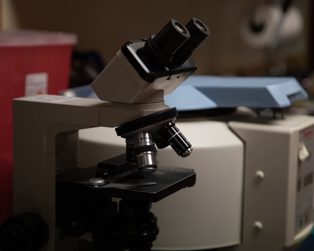 Veterinary Diagnostics Lab in South Charlotte