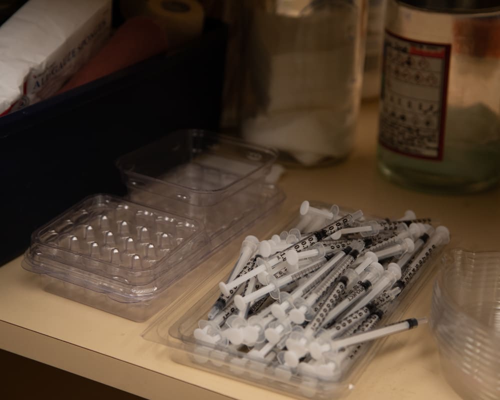 Vaccinations & Parasite Prevention | Sharon Lakes Animal Hospital